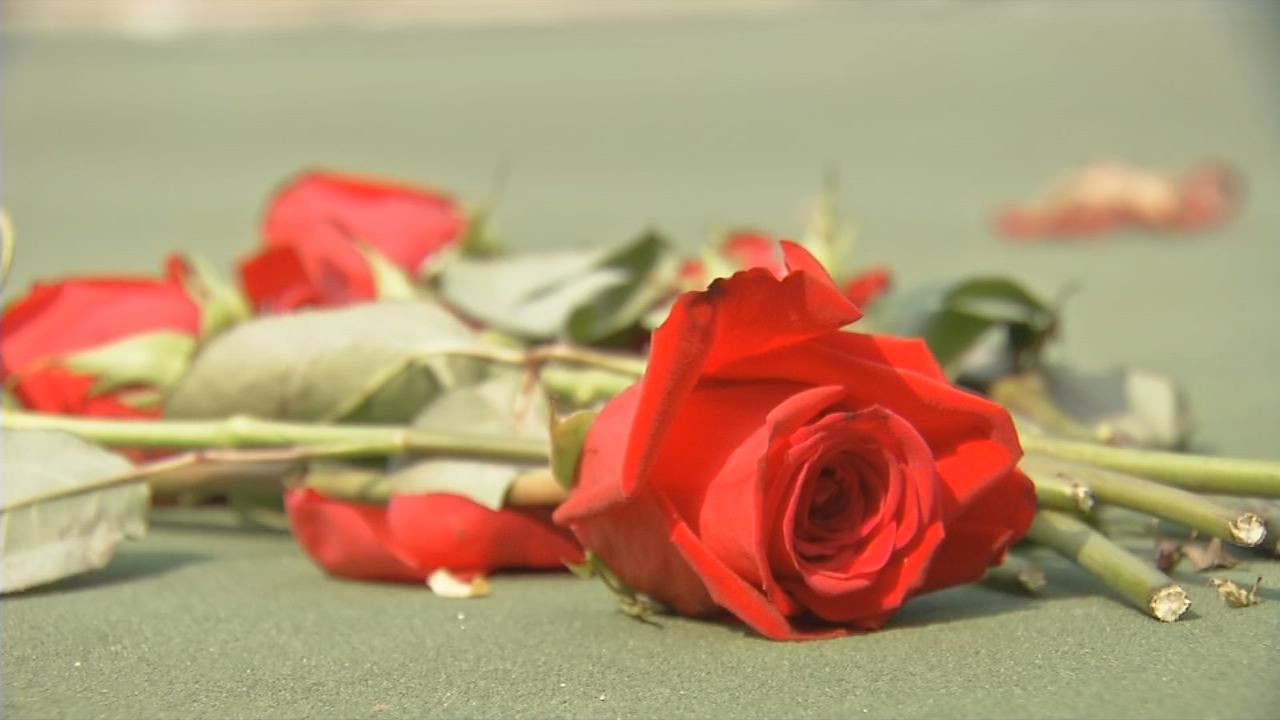 Victory Park Rose at Shooting Scene - 6-4-19